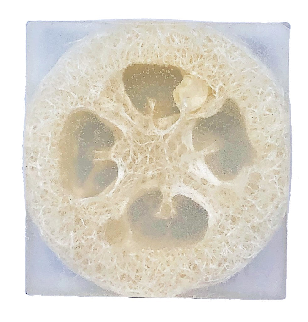 Unscented Loofah Soap