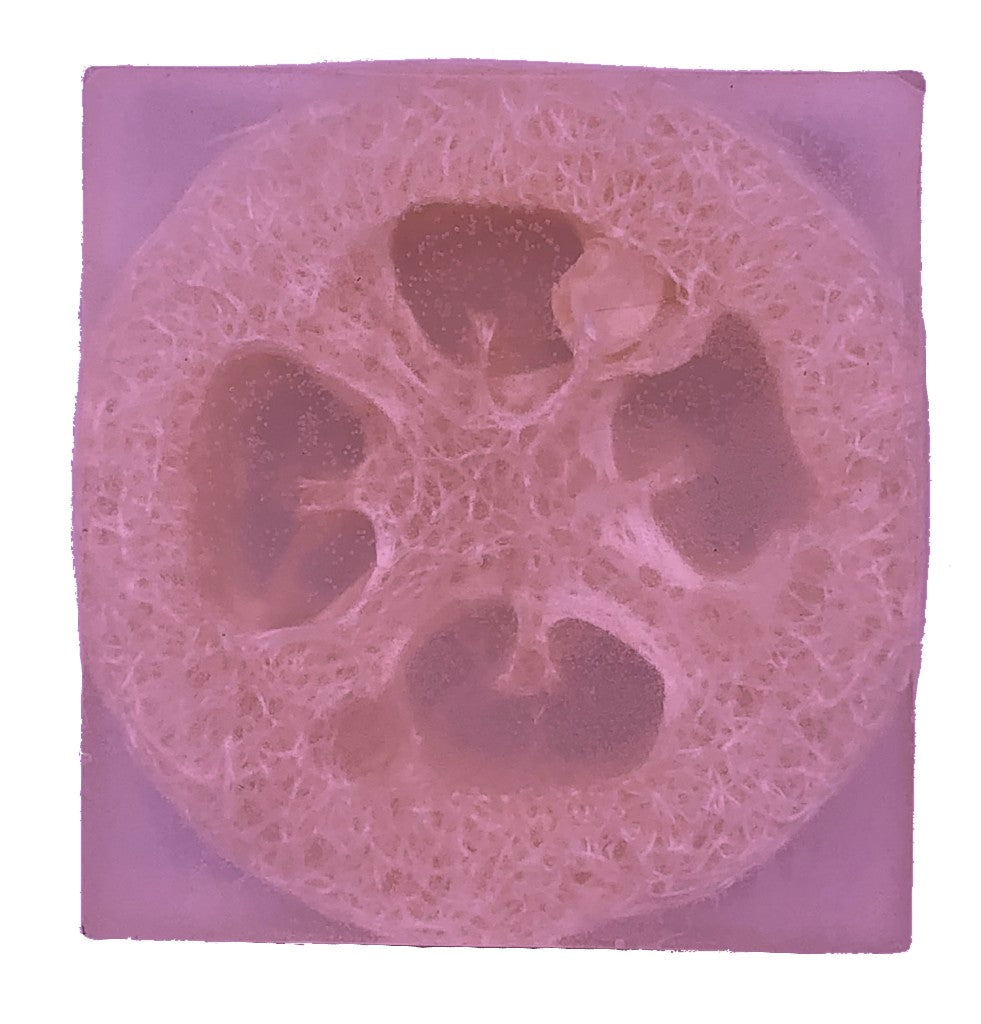 Rose Garden Loofah Soap